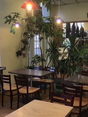 The Nile Cafe by null