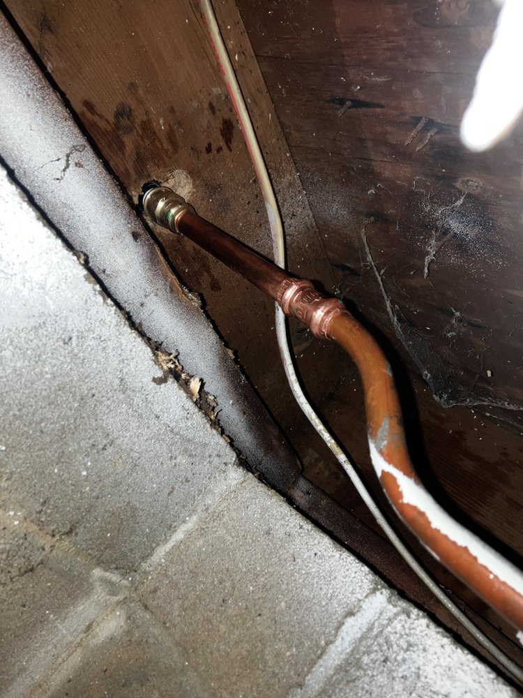 Slide of Silver Plumbing