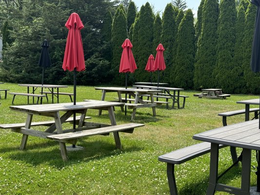 Frank's Backyard BBQ by null