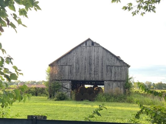 Legacy Trail by null