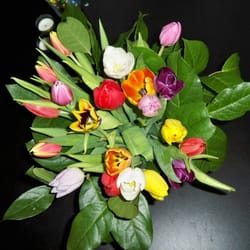 Exotic Garden - Tulipes multicolores.