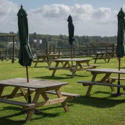 The Llama Park - When it's sunny, who can resist this? Eat off of our menu or bring a picnic!