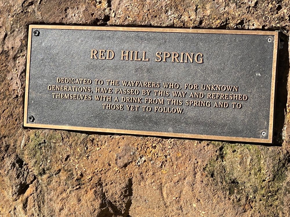 Red Hill Spring Logo