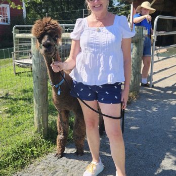 Bluebird Farm Alpacas - Walking tour! - Attraction Farms Near Me - Peapack, New Jersey Bluebird Farm Alpacas - Walking tour! - Attraction Farms Near Me - Peapack, New Jersey