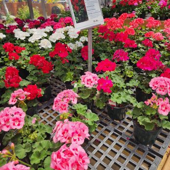 Ken's Gardens - More flowers - Nurseries & Gardening Near Me - Lancaster, Pennsylvania