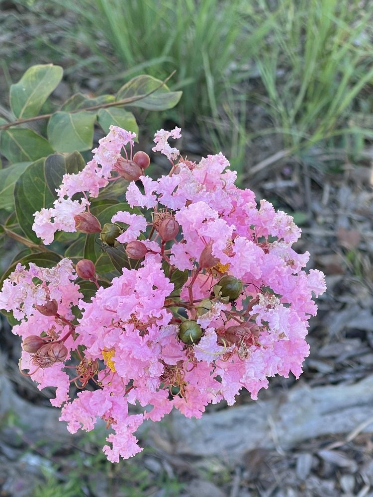Social spots from University Of South Alabama Glenn Sebastian Nature Trail