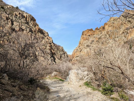 Rock Canyon Park by null