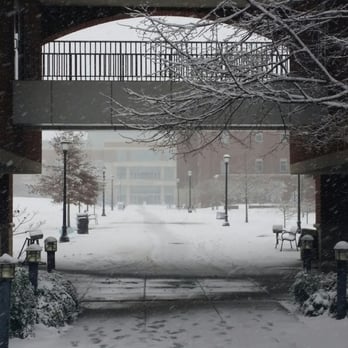 Middle Tennessee State University - A snowy walk to the Student Union building & food court - Colleges & Universities Near Me - Murfreesboro, Tennessee Middle Tennessee State University - A snowy walk to the Student Union building & food court - Colleges & Universities Near Me - Murfreesboro, Tennessee