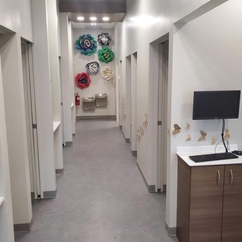 Carrollwood Dental Studio - Tampa - General Dentistry Near Me - Tampa, Florida Carrollwood Dental Studio - Tampa - General Dentistry Near Me - Tampa, Florida