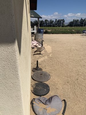 Wrath Wines- Winery Tasting Room by null