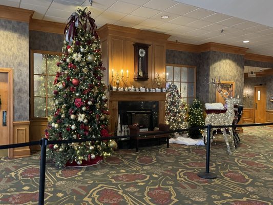 Shady Maple Smorgasbord by null