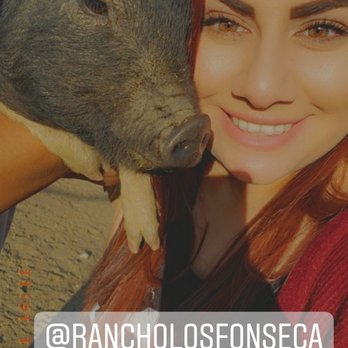Rancho Los Fonseca - Petting Zoos Near Me - Muscoy, California Rancho Los Fonseca - Petting Zoos Near Me - Muscoy, California