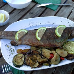 Ozean Grill - Lachsforelle vom Grill