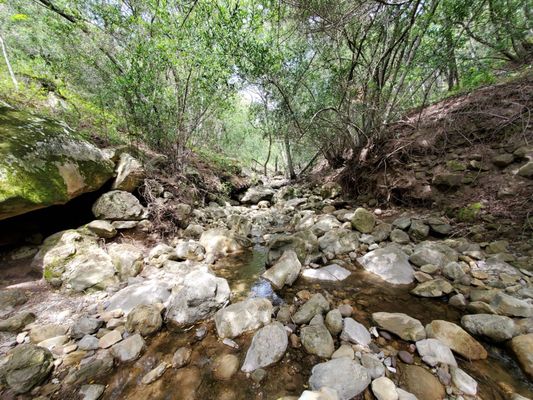 Chumash Painted Cave State Historic Park by null