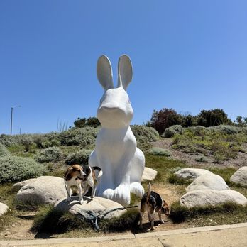 Bunnyhenge photo 8