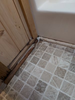 Raccoon Mountain Caverns and Campground by null