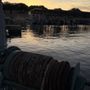 Liquid Thrillz Boat Rentals