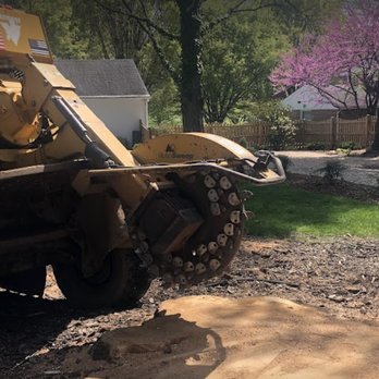 Moler Stump Grinding and Landscaping - Tree Services Near Me Moler Stump Grinding and Landscaping - Tree Services Near Me