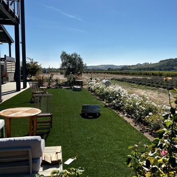 Village 360 - Relaxing while playing corn hole - Wine Tasting Room Near Me - Fairfield, California Village 360 - Relaxing while playing corn hole - Wine Tasting Room Near Me - Fairfield, California