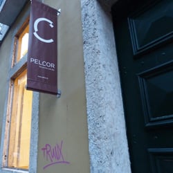 Pelcor