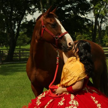 The Livingston Ranch - Horseback Riding Near Me The Livingston Ranch - Horseback Riding Near Me