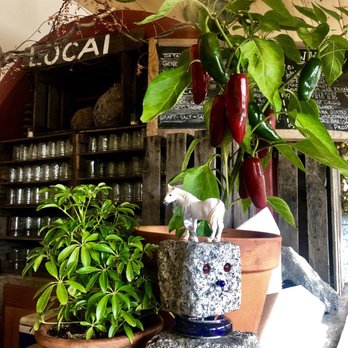 Blooming Hill Farm - Farmers Market Near Me - Monroe, New York