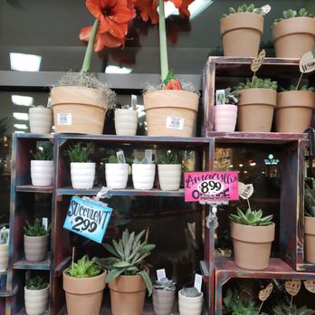 Trader Joe's - Grocery Near Me - Winter Park, Florida