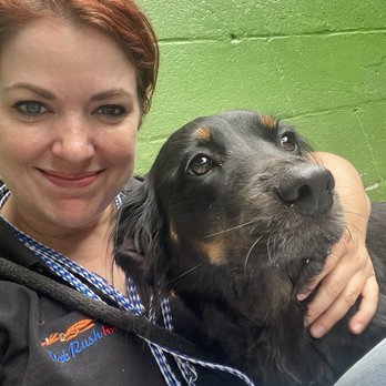 Pet Rush Inn - Buddy time with Karah :) - Pet Sitting Near Me - Burbank, California Pet Rush Inn - Buddy time with Karah :) - Pet Sitting Near Me - Burbank, California