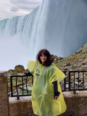 Journey Behind the Falls by null