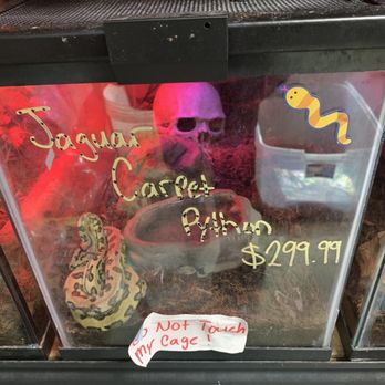 THE ROAD SHOW - Updated September 2024 - 133 Photos & 76 Reviews