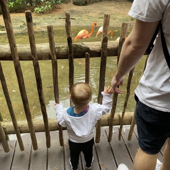 Palm Beach Zoo - Zoos Near Me - West Palm Beach, Florida