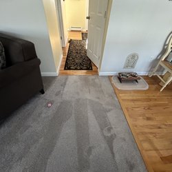 DiCat Carpet Cleaning - Looking from the armchair in the living room into the hallway