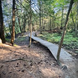 Presumpscot River Preserve