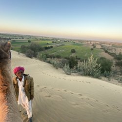 MJD Travel Services - Camel ride in the sunset!