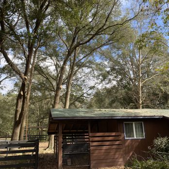 Crews Tree Service - Tree Services Near Me Crews Tree Service - Tree Services Near Me