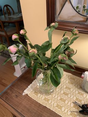 ProFlowers by null