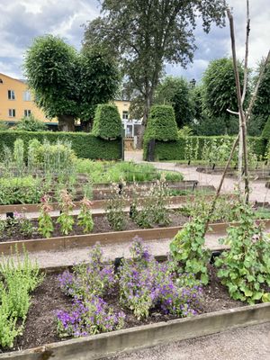 The Linnaeus Museum by null