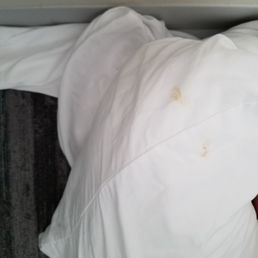 Sheets ew