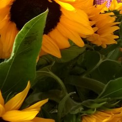 Sommerzeit
