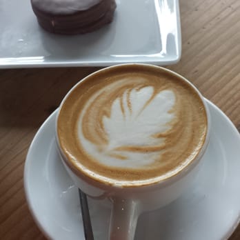 Siphon Coffee - Cappuccino with moon pie - Cafes Near Me - Houston, Texas
