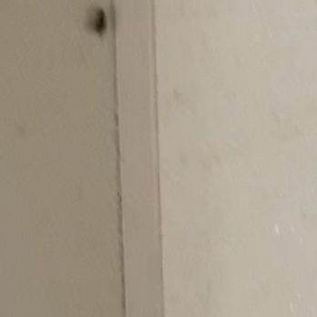 Property Profiles - Bedbug - Property Management Near Me - Aiea, Hawaii