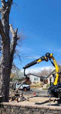 Limb Walkers Tree Service on Yelp