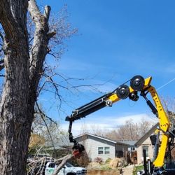 Limb Walkers Tree Service - Scorpion