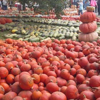 Kürbisfest - Festivals Near Me - Altendorf, BY