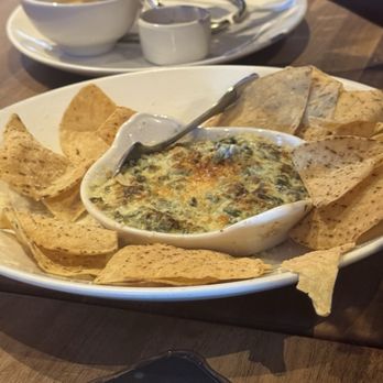 Yard House - Four Cheese Spinach Dip - Bars Near Me - Hanover, Maryland Yard House - Four Cheese Spinach Dip - Bars Near Me - Hanover, Maryland