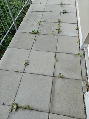 MANA LISA Boutiquehotel by null