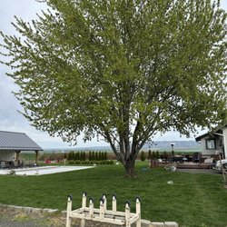 Ducleaux Cellars - The property