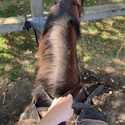 Carousel Horse Farm - Before our ride. We had our stirrups adjusted and were told how to hold our reins.