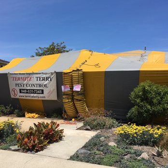 Termite Terry Pest Control - Pest Control Near Me - Costa Mesa, California Termite Terry Pest Control - Pest Control Near Me - Costa Mesa, California