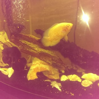 PetSmart - Pet Stores Near Me - Tampa, Florida PetSmart - Pet Stores Near Me - Tampa, Florida